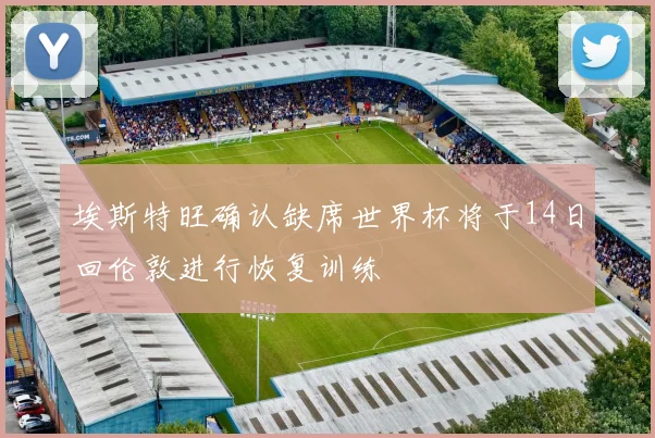 埃斯特旺确认缺席世界杯将于14日回伦敦进行恢复训练